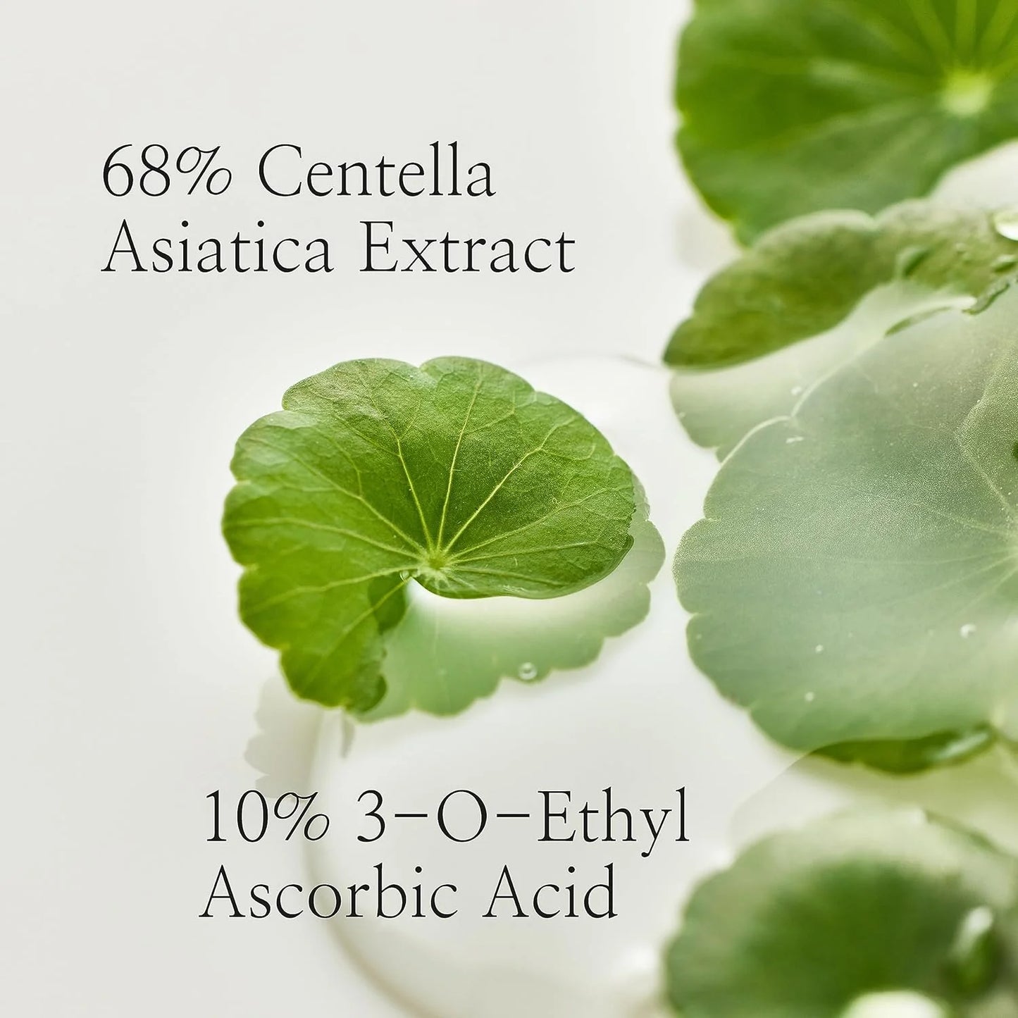 Buy Beauty of Joseon Light On Serum Centella + Vitamin C in Kuwait skin valet shop