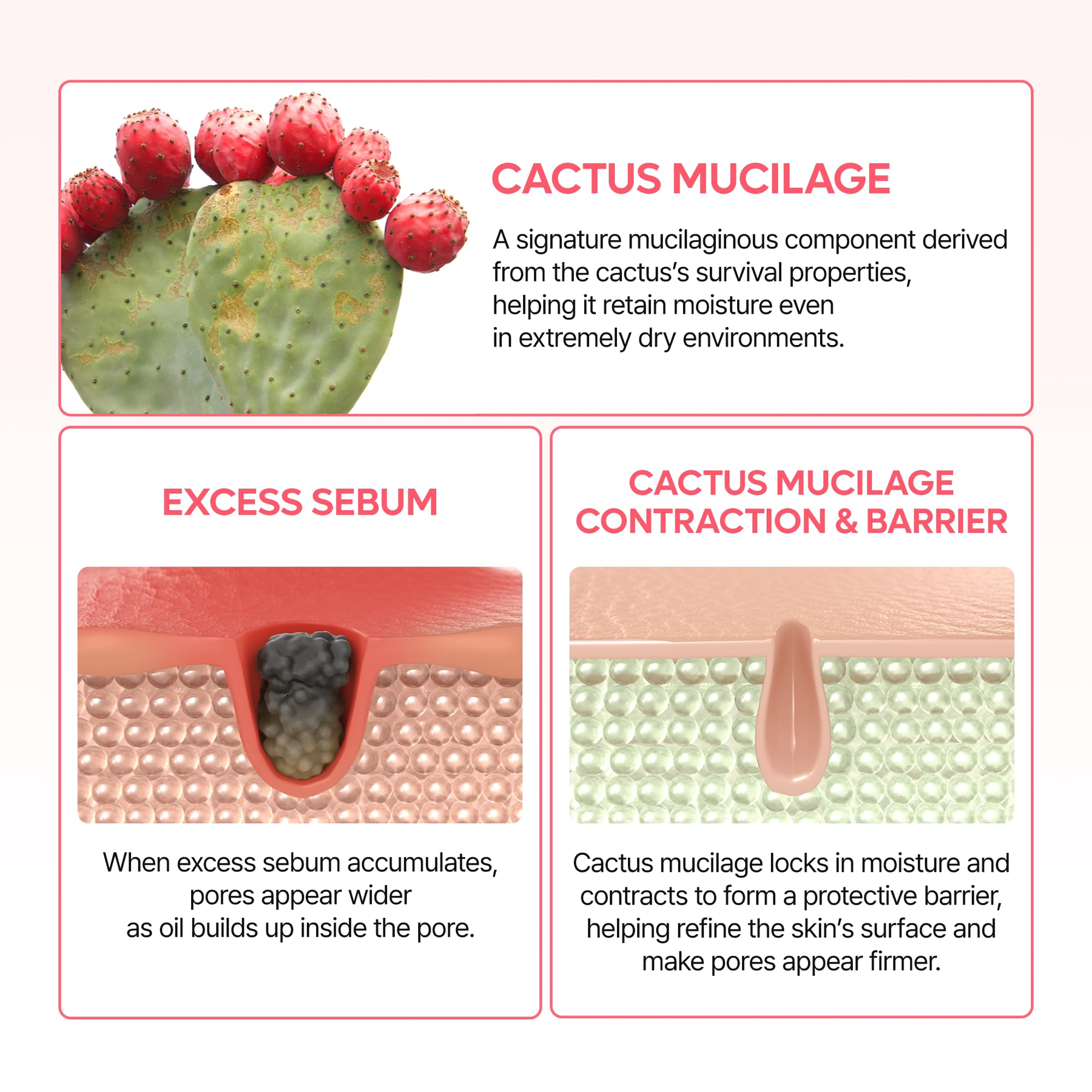 Dr.Melaxin Cactox Pore Relief Dual Capsule Cream - 65g