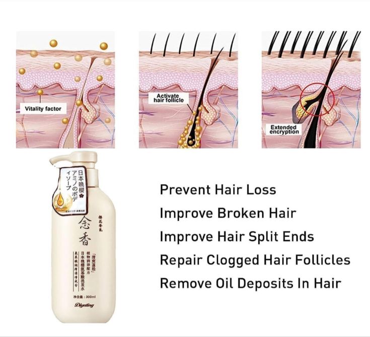JANGOU - Sakura Japanese Shampoo
